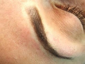 ombre brows training