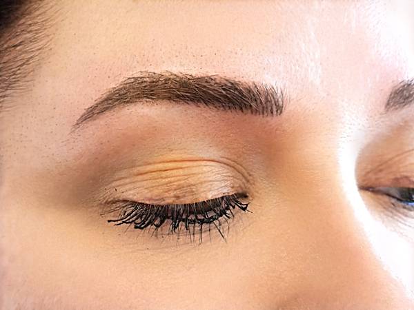 Permanent Cosmetic brow training Permanent Cosmetic brow training